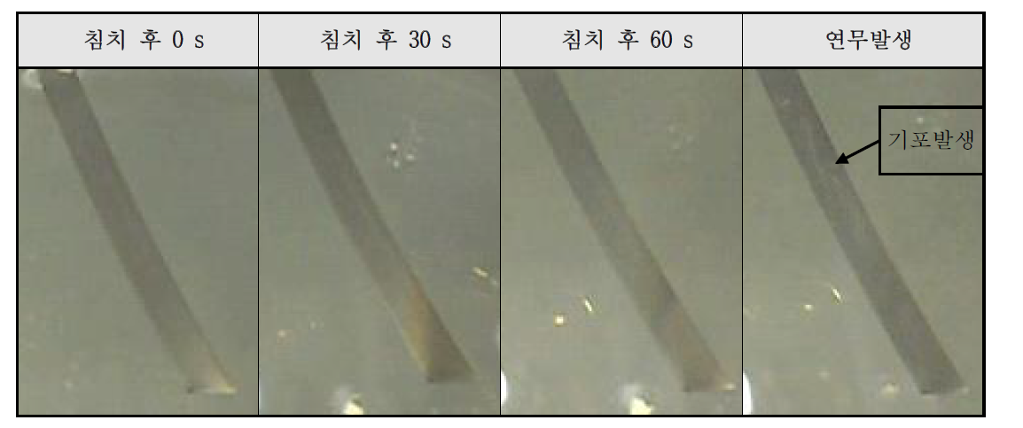 내전해액성 (불산 Test) 결과