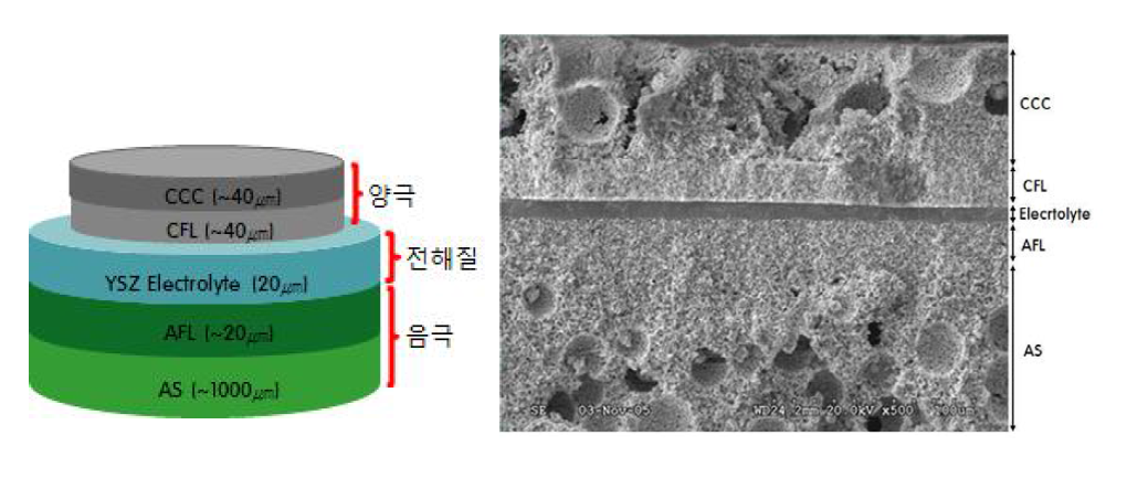 고체산화물 연료전지 (좌)모식도, (우)SEM image