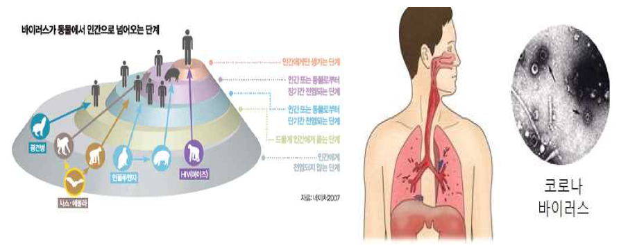 코로나 바이러스의 전염경로