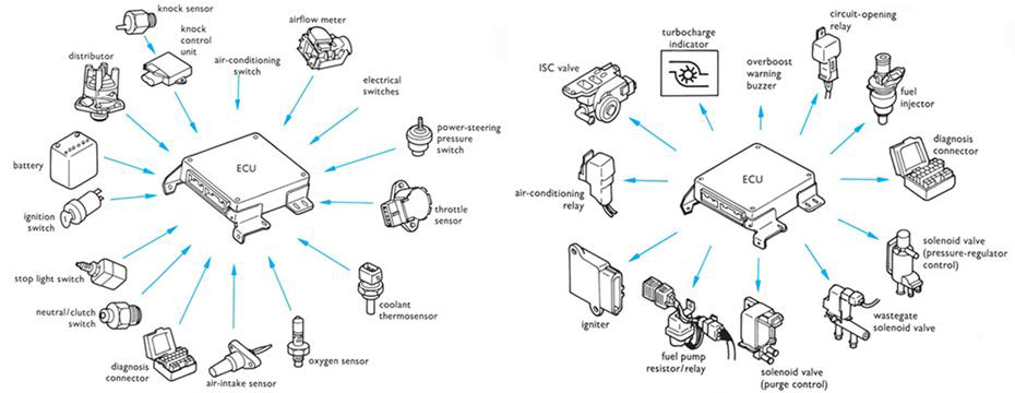 Input and output signal of ECU.