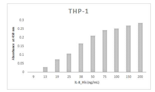 THP-1 세포주에 대한 IL-8_His의 생물학적 활성