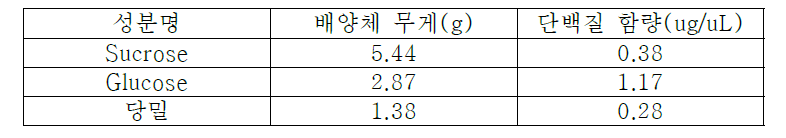 탄소원에 따른 겨우살이 캘러스의 단백질 함량