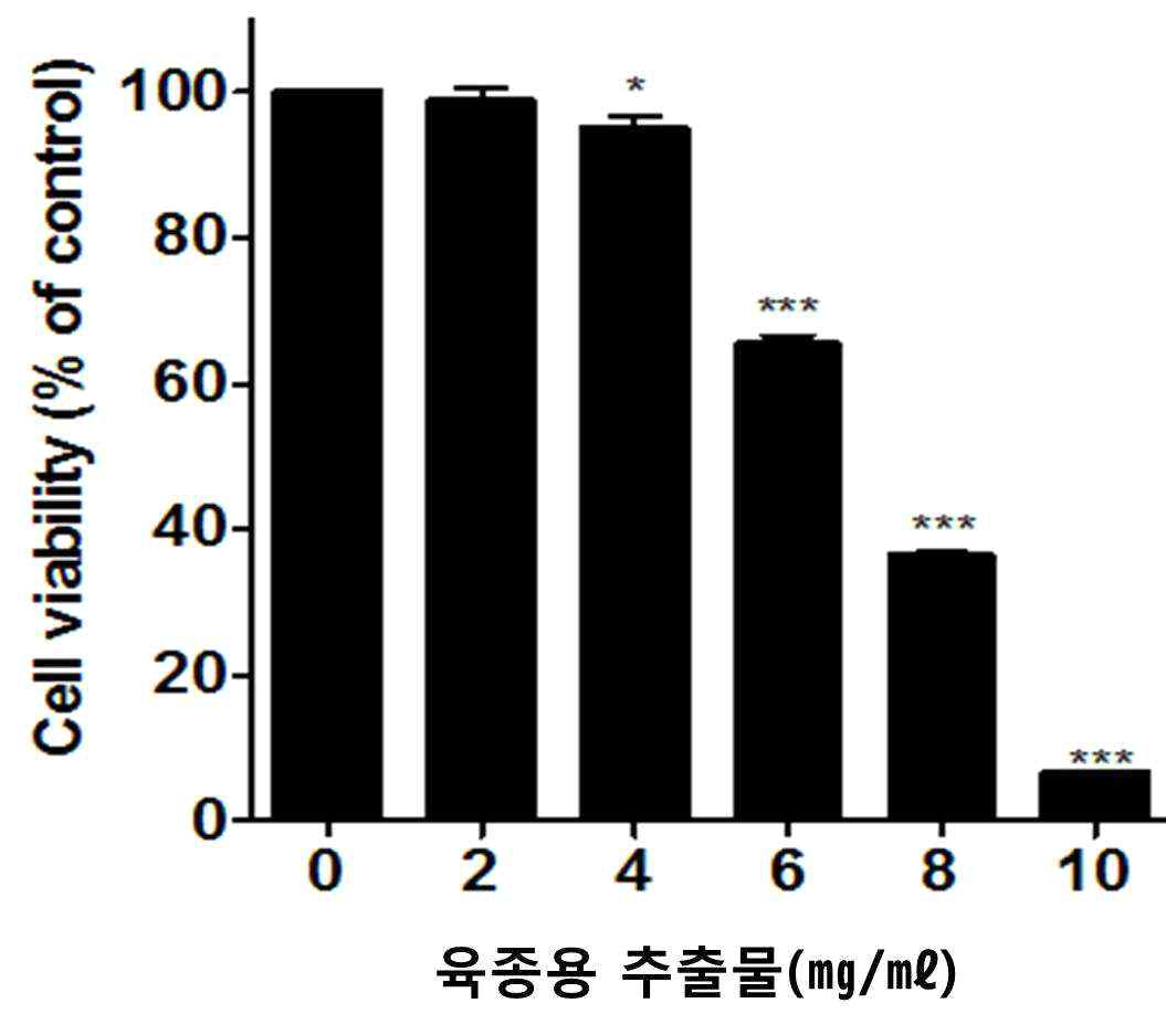 MTT assay를 이용한 세포 독성 검정