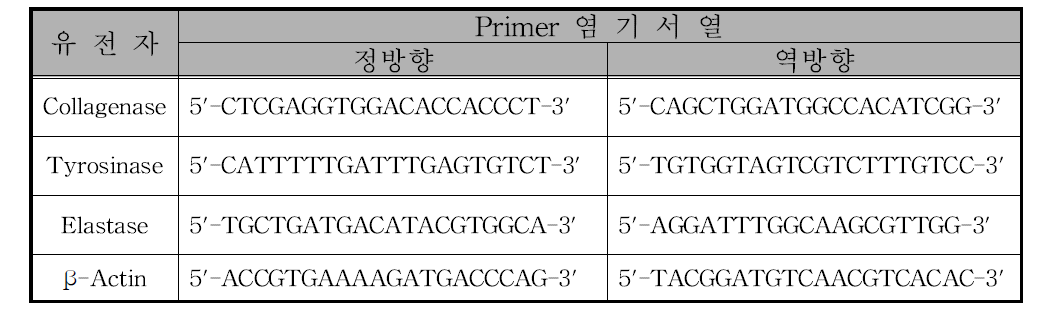 유전자 발현 검정에 사용한 유전자 primer 염기서열