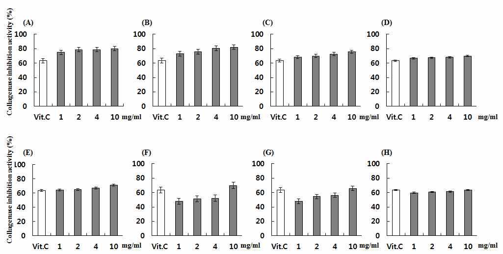육종용 추출물을 이용한 collagenase 저해 활성 측정 결과. 대조구로 육종용 추출물을 이용한 collagenase 저해 활성 측정 결과. 대조구로 Vit C 0.1mg/ml을 처리하였고, (A) H20, (B) Methanol, (C) Buthanol, (D) Hexane, (E) Methylene chloride, (F) Chloroform, (G) Ethylacetate, (H) Petrolium ether 추출물을 이용하여 1, 2, 4, 10mg/ml의 농도로 처리하여 활성을 측정하였다.