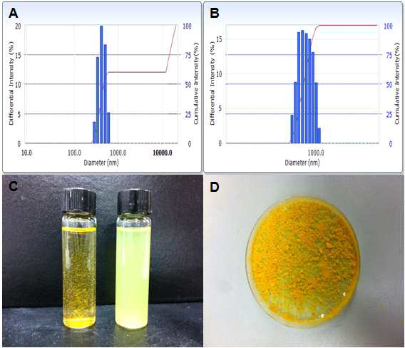 Particle size distribution of SLNs before (A) and after surrace modification (B); comparative dispersability of curcumin (C) and freeze-dried NC (D) in distilled water.
