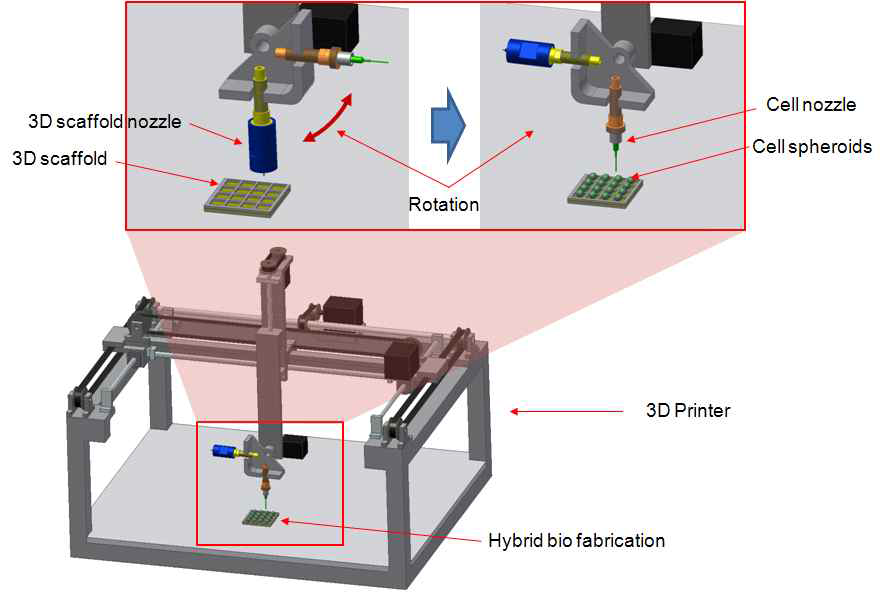 새로 개발할 Multi armed 3D bioprinter 의 예상 이미지(안)