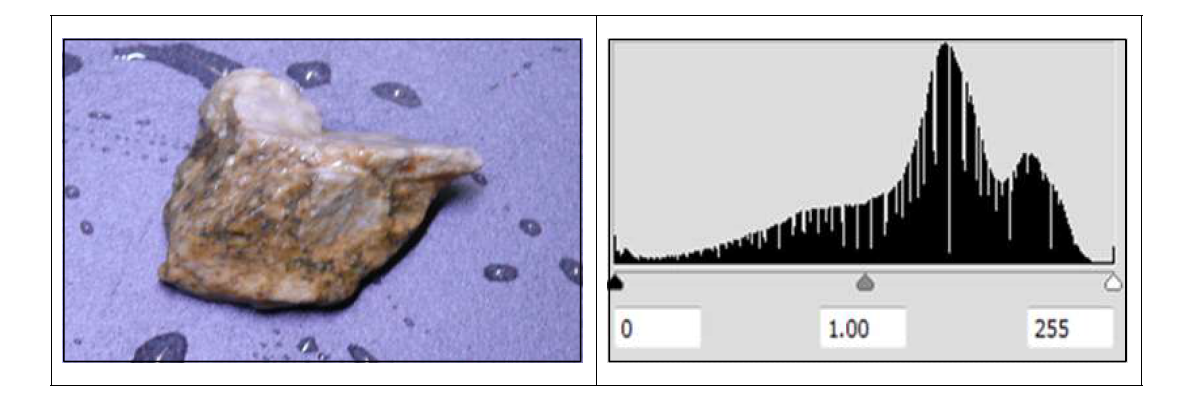 납석에 함유된 이물질 히스토그램 #1