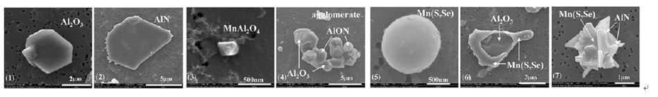 Form of inclusion in Mn-Al alloy