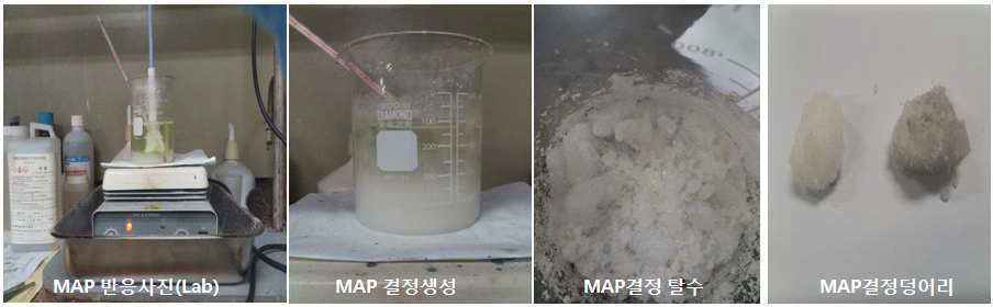 일반 분리농축 인산으로 제1인산암모늄 합성 테스트