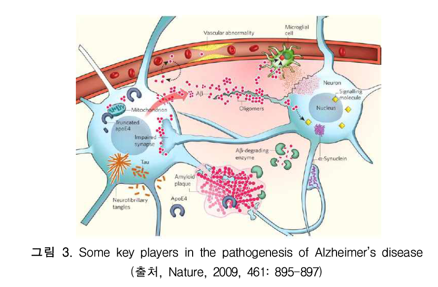 Some key players in the pathogenesis of Alzheimer’s disease