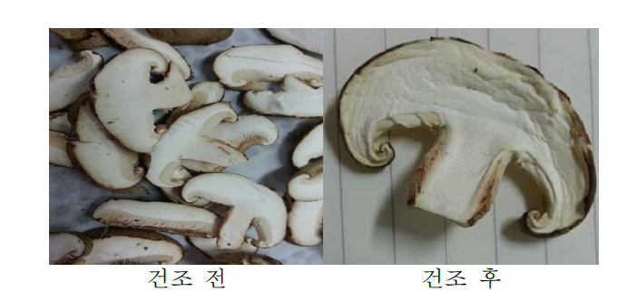 표고버섯의 열풍건조 전과 후 (2차 실험)