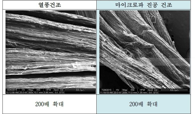 건조 방법에 따른 고사리의 미세구조