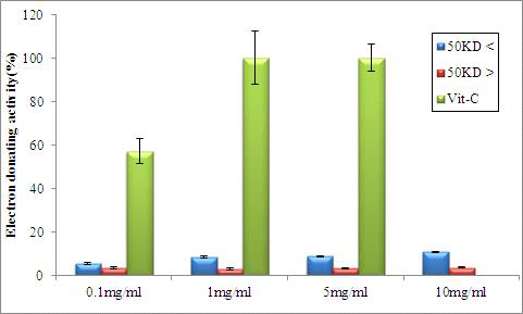 해삼 자숙액 분획물(50kDa 이상, 50kDa 이하)의 다양한 농도(0.1, 1, 5, 10mg/ml)에서의 DPPH radical 소거능(%)