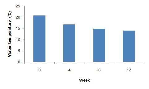 사육기간에 따른 대정 양식장 수온 변화
