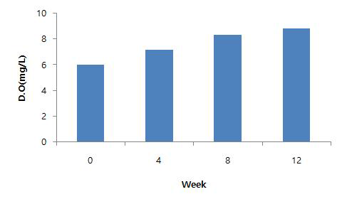 사육기간에 따른 대정 양식장 D.O 변화