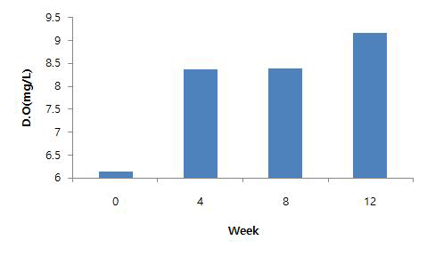 사육기간에 따른 한경면 양식장 D.O 변화