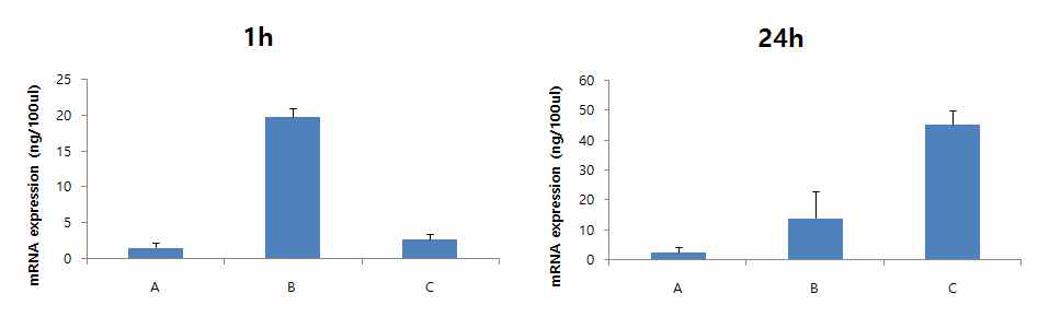 대조구 Lysozyme mRNA 발현량