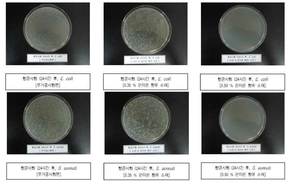 은이온 M/B 함유 판상샘플에 대한 1차 항균시험 결과 사진