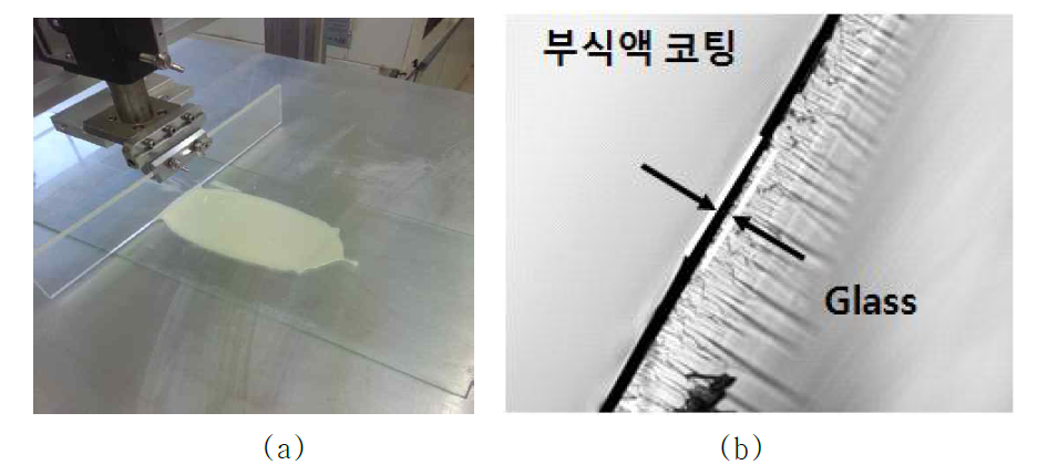 (a)유리표면에 부식잉크 코팅, (b) 유리표면에 부식잉크 코팅된 단면