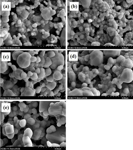 제조한 (Lu1-yYy)2.94Al5O12:0.06Ce3+ 형광체의 FE-SEM 결과: y = (a) 0, (b) 0.25, (c) 0.5, (d) 0.75, 및 (e) 1.0.