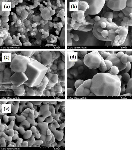 (Lu1-yGdy)2.94Al5O12:0.06Ce3+ 형광체의 FE-SEM 결과: y = (a) 0, (b) 0.25, (c) 0.5, (d) 0.75, 및 (e) 1.0.