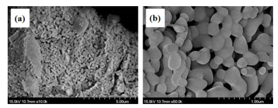 졸겔 연소법으로 제조한 Lu2.98Al5O12:0.02Ce3+ 형광체의 (a) 저배율 및 (b) 고배율 FE-SEM 사진.
