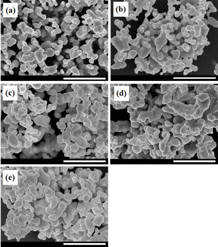 Lu3-xAl5O12:xCe3+ 형광체의 FE-SEM 사진: x = (a) 0.02, (b) 0.04, (c) 0.06, (d) 0.08, 및 (e) 0.10.