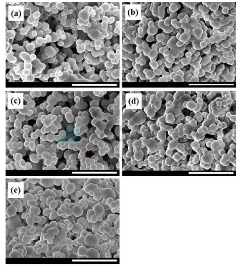 제조한 (Lu1-yYy)2.94Al5O12:0.06Ce3+ 형광체의 FE-SEM 결과: y = (a) 0, (b) 0.25, (c) 0.5, (d) 0.75, 및 (e) 1.0
