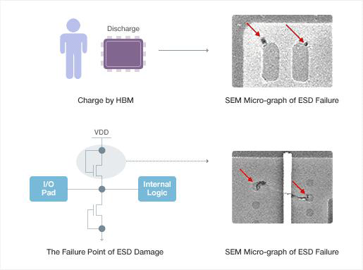 SEM Micro-graph of ESD failure