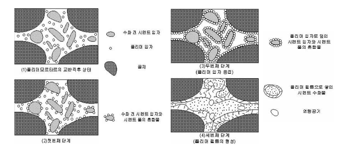 폴리머와 시멘트의 결합재 조직 형성모델