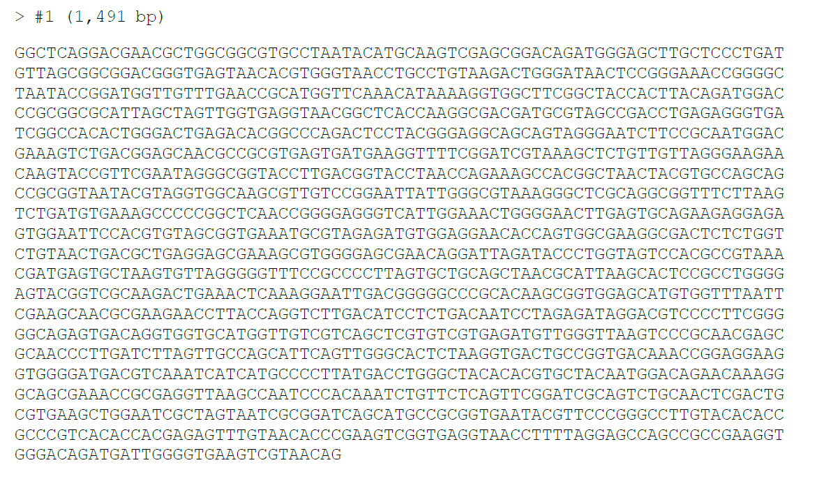 DNA sequence of 16S rRNA of #1 probiotic isolate.