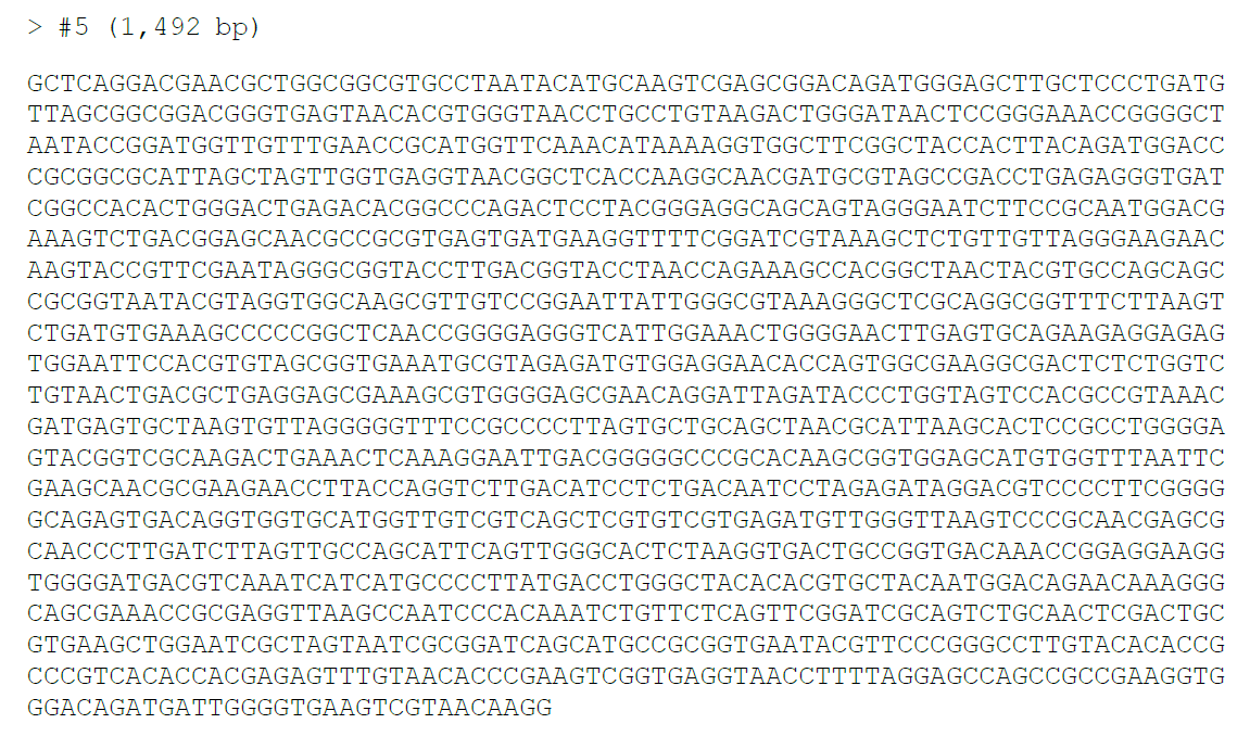 DNA sequence of 16S rRNA of #5 probiotic isolate