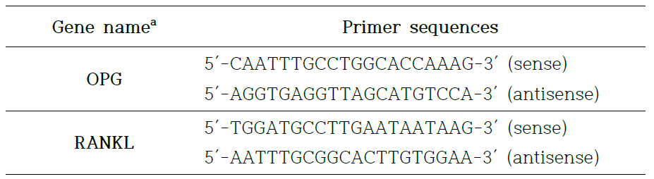 본 연구에 사용된 primer