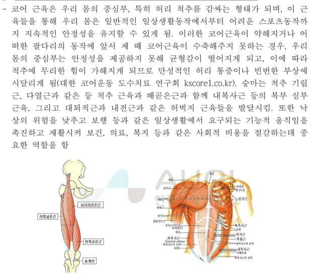 허벅지 근육 그림 2. 복부 근육
