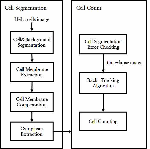 세포 분할 기반 세포 카운팅 기술의 블록 다이어그램