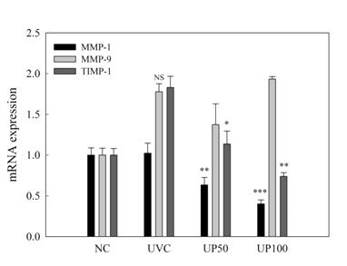 mRNA level in UVB-irradiated HaCaT cells treated with pUP-E.