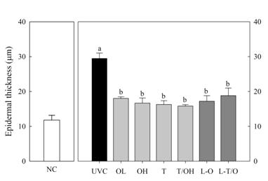 Epidermal thickness of hairless mouse treated with pUP-E and pLE-E.