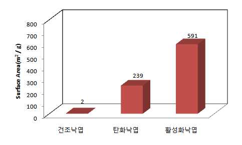 시료별 비표면적 비교