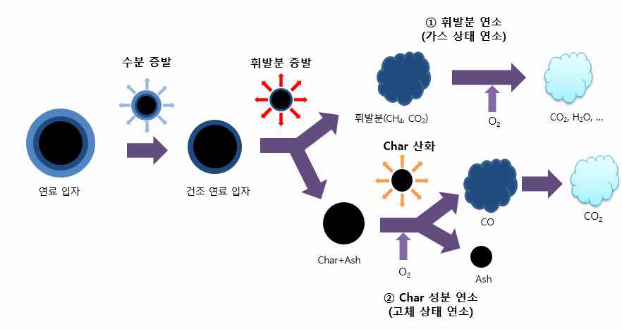 고체 연료 연소 과정 모델