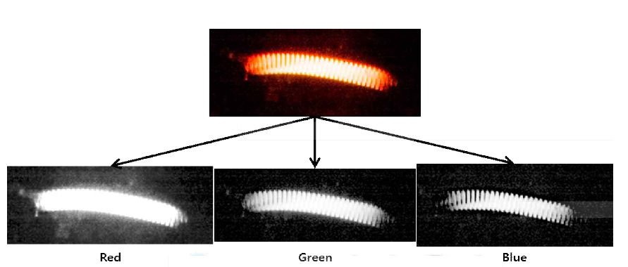 각 색상의 이미지 센서에서 얻은 텅스텐 필라멘트 램프 이미지