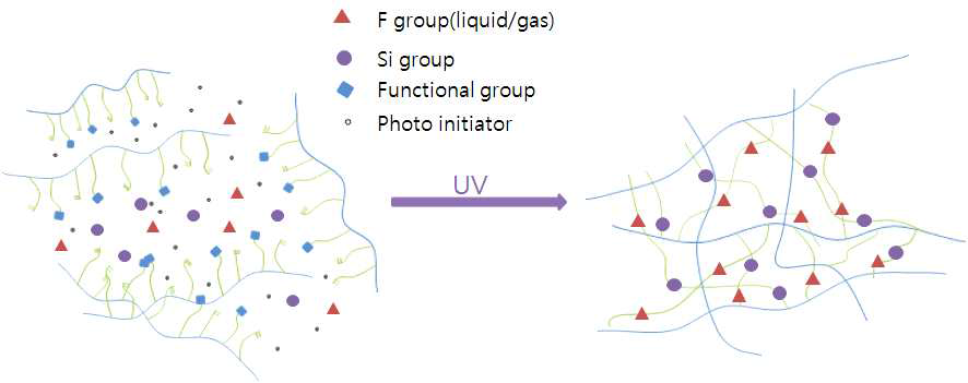 실리콘 및 불소 화합물을 포함한 다관능성 고분자의 광경화 메커니즘