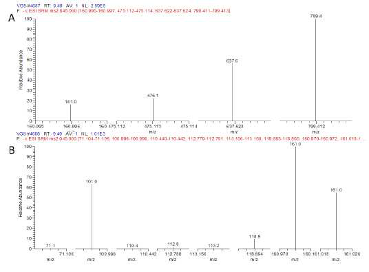 Mass spectrum and possible fragmentation of ginsenosides Rg1 (A) and Re (B)