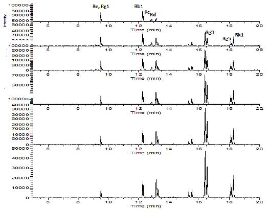 HPLC chromatography of Panax ginseng during decoction process