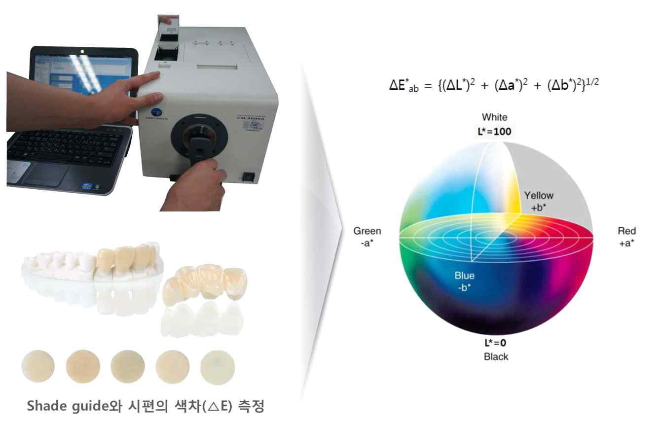 분광측색분석장치를 이용한 색조와 반투명도 측정