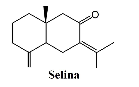 Selina의 화학 구조