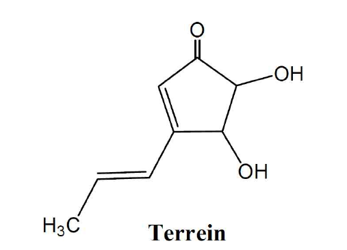 Terrein의 화학 구조