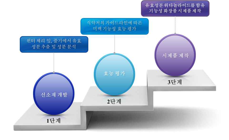 기술 개발 단계