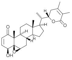 미백 기능 신원료 Widanolide