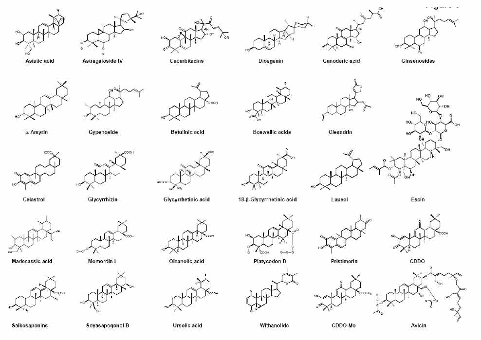 위다놀라이드를 포함한 Triterpenoids